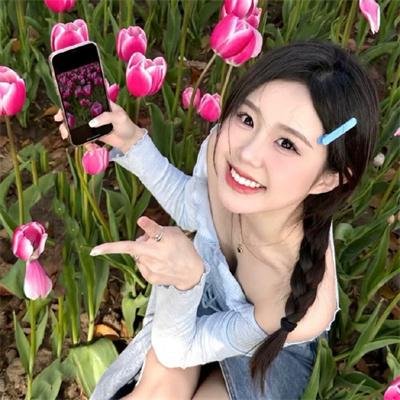 玫瑰的故事